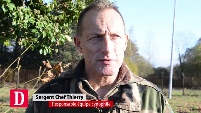 Tests grandeur nature pour les équipes cynophiles du 1er RHP