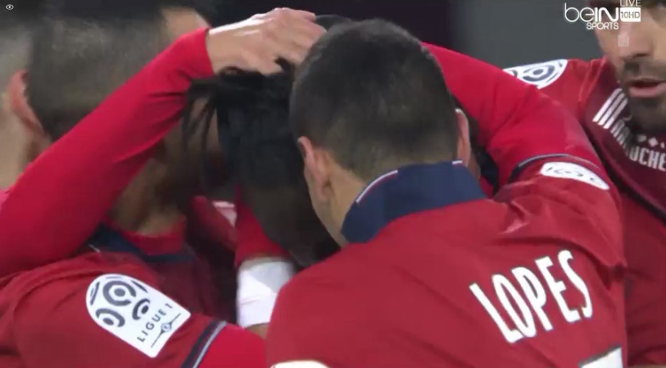 Ederzito Lopes Goal , But - Lille OSC 1-0 Stade Malherbe Caen - (29/11/2016)