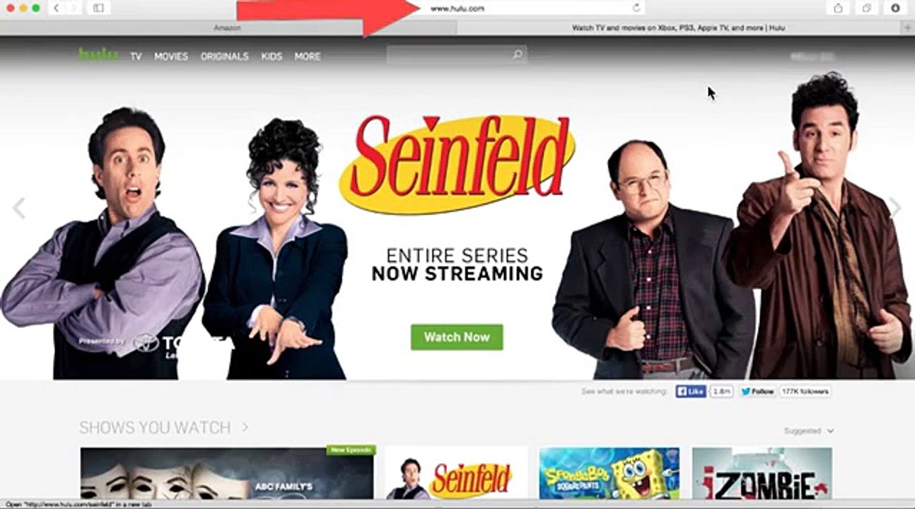 Free Hulu Plus Showtime Accounts (PROVED IN VIDEO)