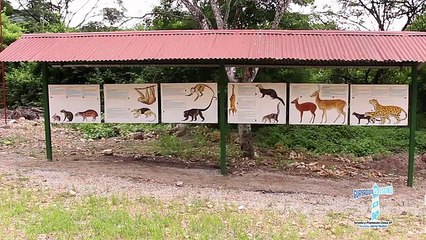 Guayaqul vive la segunda edición de la Feria del Libro
