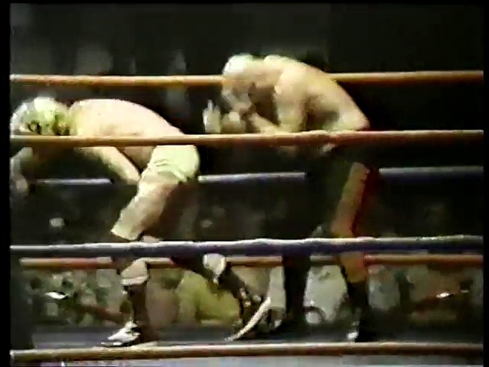 Nick Bockwinkel vs Baron Von Raschke