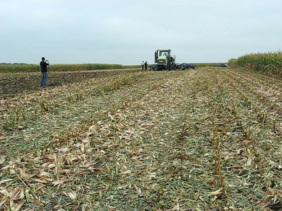 CLAAS Challenger E95 with Kockerling Vector