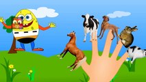 Finger Family Nursery Rhymes | Animal Finger Family Songs Collection | Learn Pet Animals | Kids