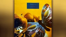 Telex - 04 - 1982 - Birds and Bees [full album]