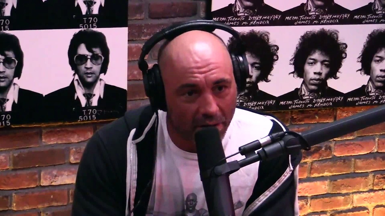 Joe Rogan on Income Equality, The Left vs The Right, Feminism and University Teachers