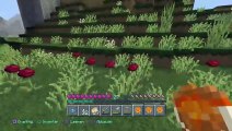 DonAleszandro's Minecraft Kanal : ««-(Survival)Verteidigungs Aufbau mit Zeus-»» (480)