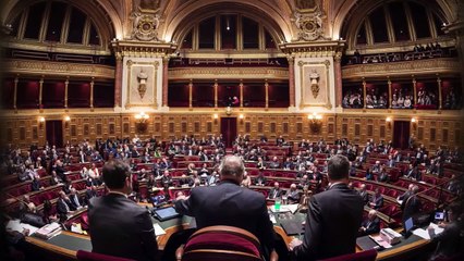 Sénat : quand un ministre joue aux mots croisés en pleine séance !