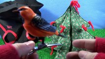 I Spy Mystery Birds Surprise Grab Hat - Kids Toy Singing Motion Activated Pets