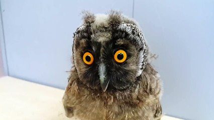 Первый рабочий день после отпуска ))))