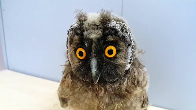 Первый рабочий день после отпуска ))))