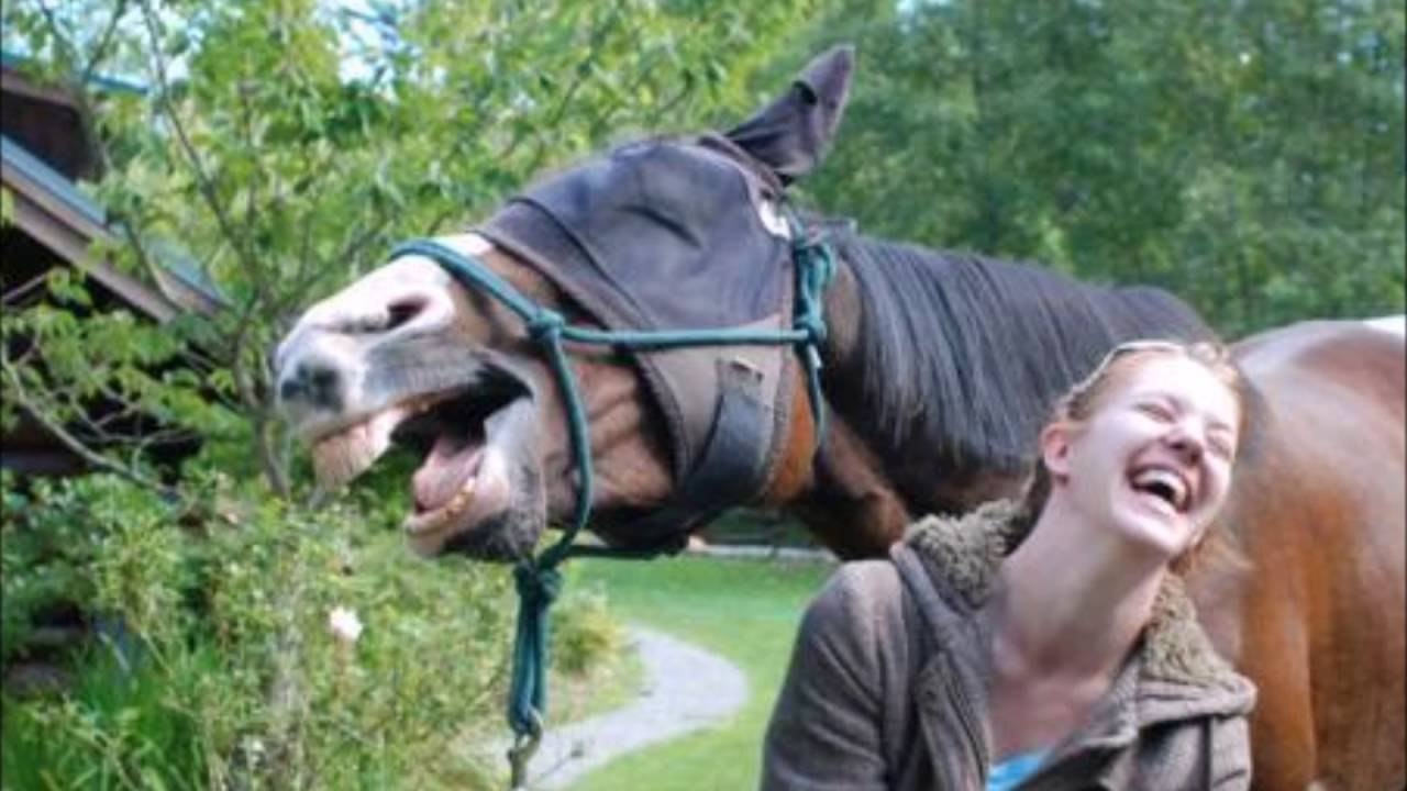 Fun with Totally Madnessv |||