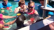 7-Year-Old Girl With Life-Threatening Illness Swims With Sea Otters For Therapy