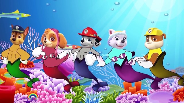 Paw Patrol Transforms 3D Spiderman Finger Family Songs / Daddy Finger Family Nursery Rhymes Lyrics