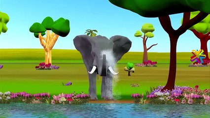 Finger Family Children Nursery Rhymes Elephant Cartoons | Finger Family Nursery Rhymes for Children