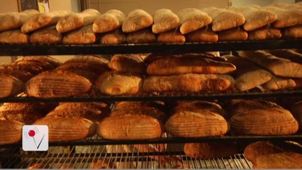 Gluten-Free Diets May be Pointless