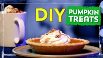 Best Yummy Pumpkin Treat Recipes