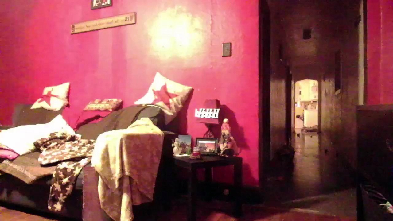 Cat cam returns! (17)