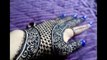 DIY Henna: Beautiful latest stylish mehndi design Tutorial for eid,weddings and diwali