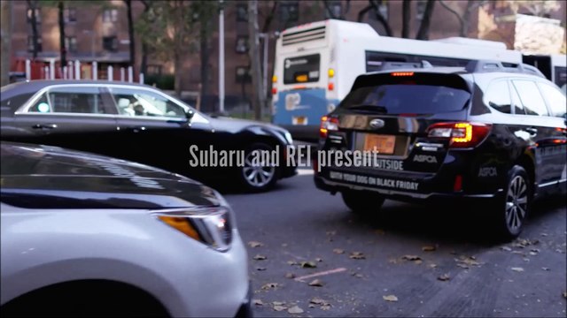 Best Subaru Dealer Boca Raton FL | Best Subaru Dealership Boca Raton FL