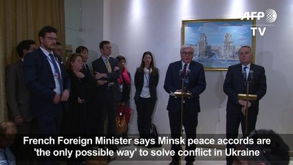 French FM says Minsk peace accords are 'the only possibly way'