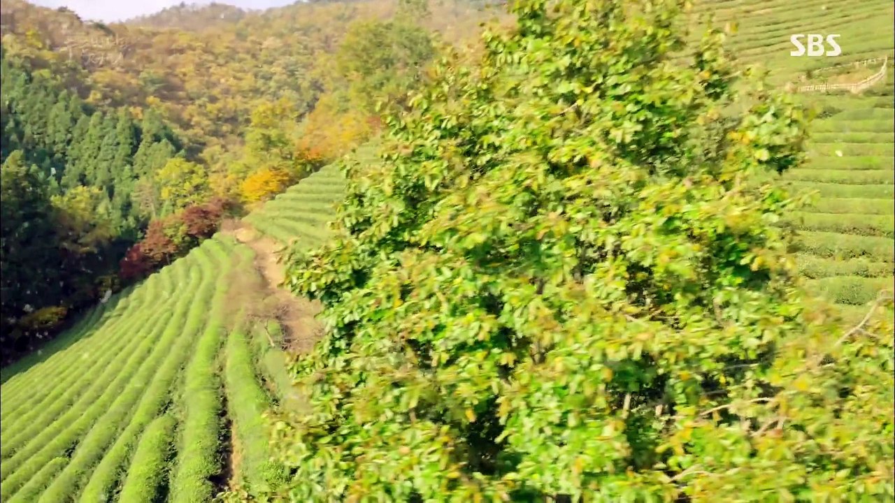 Legend of the Blue Sea E04-01 highlight LEEMINHO