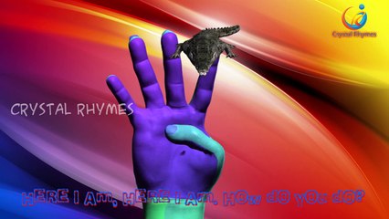 Crocodile VS Duck | Finger Family 3d Animated Nursery children rhymes