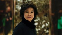 Donald Trump Picks Elaine Chao as Transportation Secretary