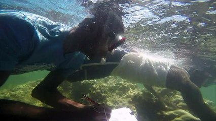 As oceans empty, Kenya fishermen must adapt or disappear