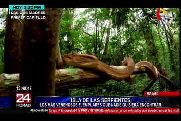 Esta es la isla brasileña que quizá nunca querrás conocer