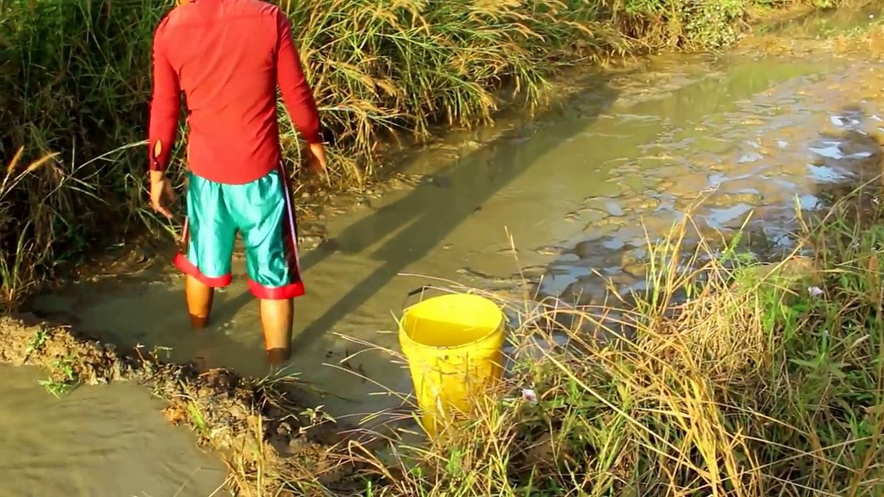Beautiful Girl Fishing - Amazing Fishing at Battambang - Cambodia Traditional Fishing (Part 140)