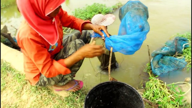 wow Amazing lovely Girl Fishing - Cambodia Traditional fishing - How to Catches Fish (Part 123)