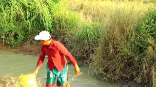 Net Fishing In Battambang Province - Cambodia Traditional Fishing ( Part 121)