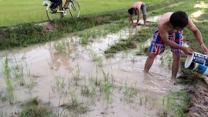 wow Amazing Fishing - Cambodia Traditional fishing -
