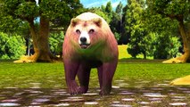 Bear Finger Family Rhymes | 3D Animated Animal Finger Family Rhymes For Children