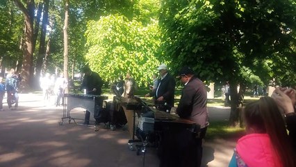 Россия. Санкт-Петербург. Петергоф. Музыканты.