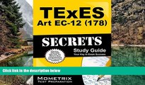 Read Online TExES Exam Secrets Test Prep Team TExES Art EC-12 (178) Secrets Study Guide: TExES