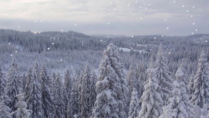 Paysages d'Hiver 2016