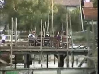 Dégustation d'huîtres