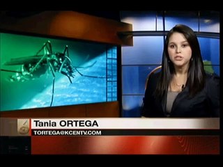 West Nile Blood Testing in Waco