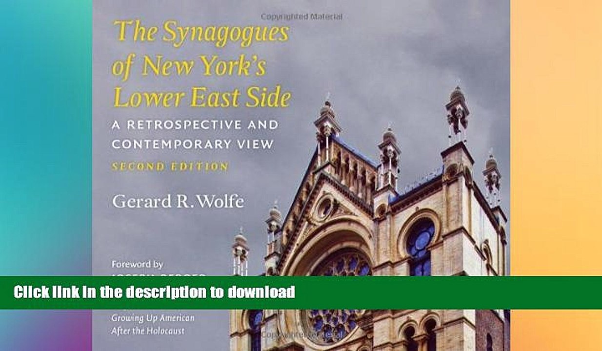 GET PDF  The Synagogues of New York s Lower East Side: A Retrospective and Contemporary View  BOOK