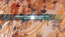 Aldevol Cleaning Services LLC - (407) 223-7726
