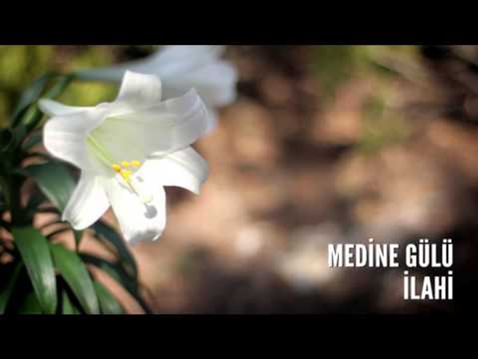 Müziksiz İlahiler - Medine Gülü