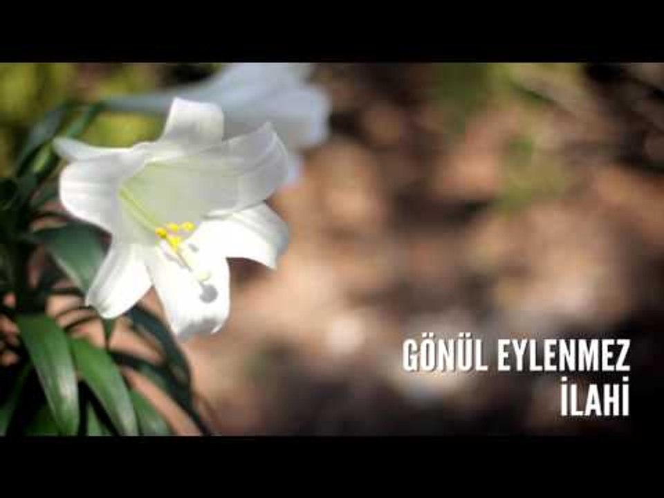 Müziksiz İlahiler - Gönül Eylenmez