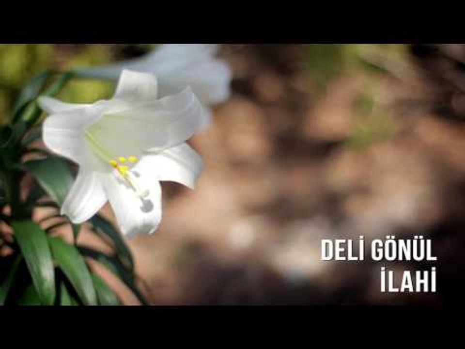 Müziksiz İlahiler - Deli Gönül