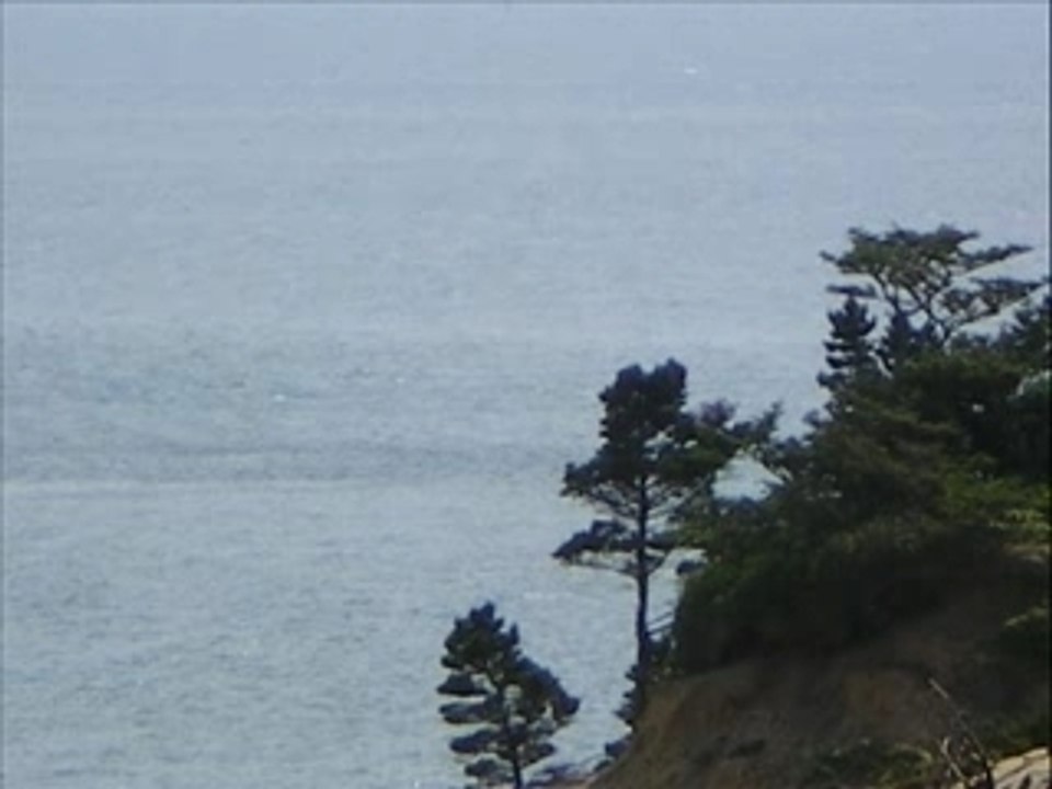 Pacific city_0001