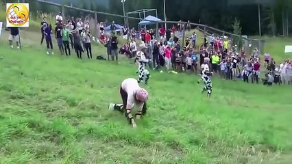 New Funny videos 2016 funny