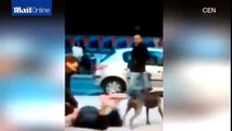 Dramatic footage, dog attacks police after owner resists arrest