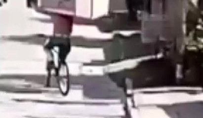 Bisiklet sırtında buzdolabı hırsızlığı