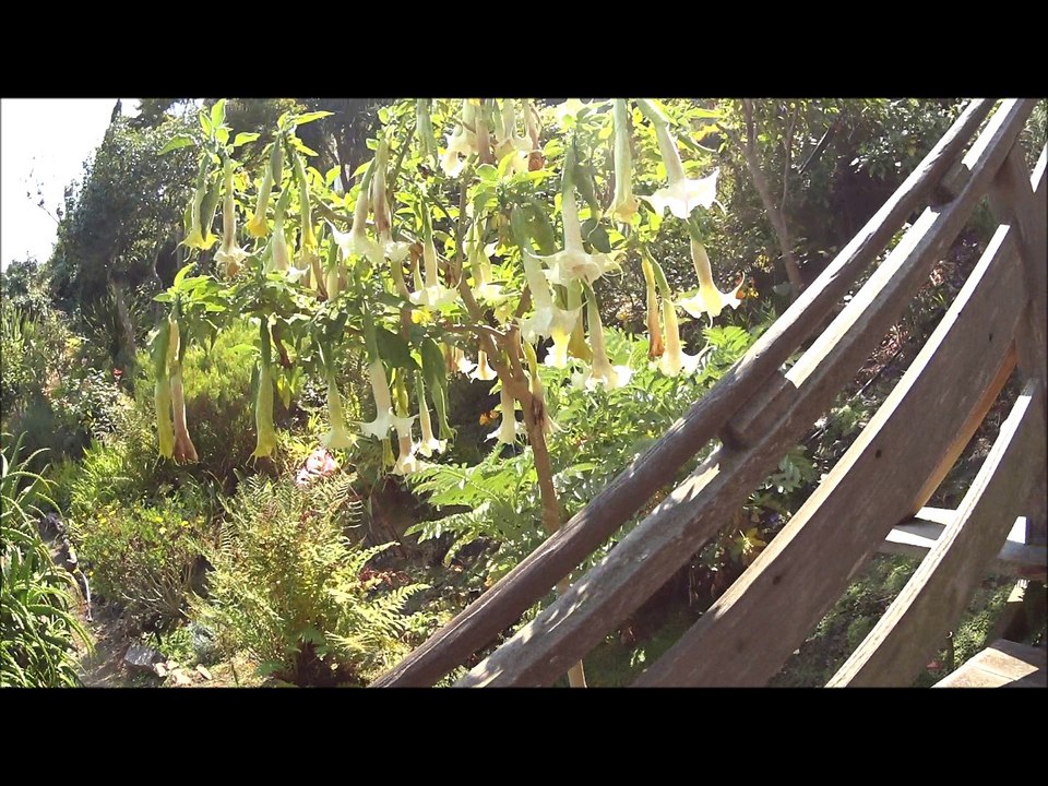 Voyage de noces de Céline et Gauthier