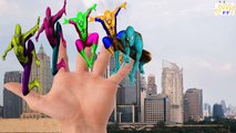 Rainbow Colors Spiderman Finger Family Collection | Spiderman Finger Family Nursery Rhymes Songs
